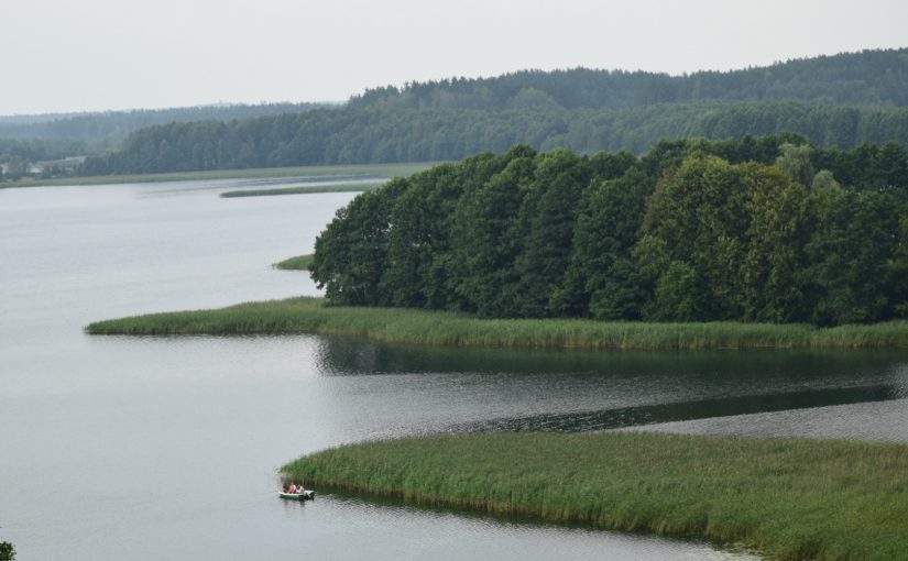 Z parku do miasta i… znów do parku
