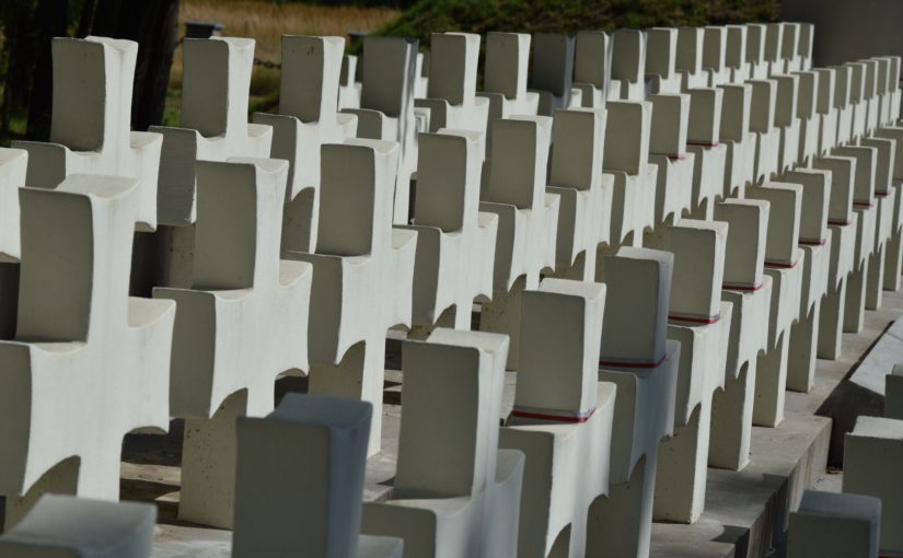 Do zobaczenia Green Velo!