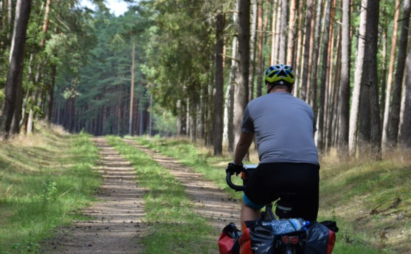 Jedzie rower borem, lasem…