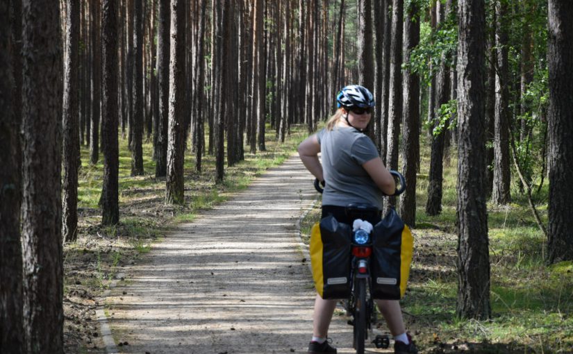 Wyborne Bory Tucholskie