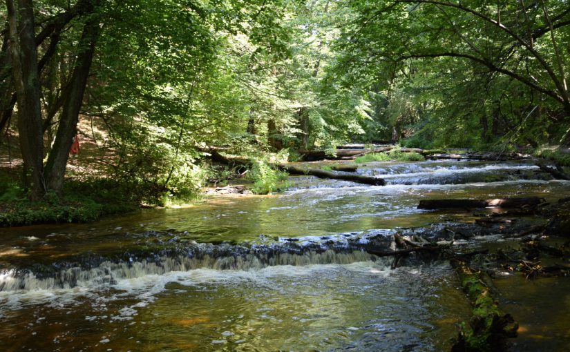 Roztocze cudami słynące