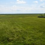 Bezkres łąk