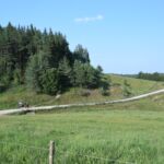 Widzicie mały czerwony punkt?