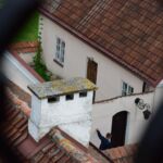 Sylwia podglądacz...