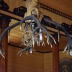 Żyrandol z poroży