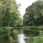 I jeszcze ciąg dalszy...