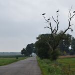 Podlaski Szlak Bociani