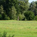 Kto wypatrzy słupek?