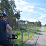 Sobiborskie torfy i lasy