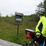 W okolicy występują cztery rodzaje rosiczki