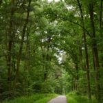 Kozłowiecki Park Krajobrazowy