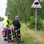 Uwaga! Kraina żubra!