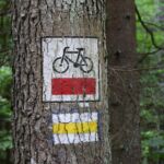 Nie tylko Green Velo