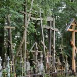 Od malutkich po kilkumetrowe