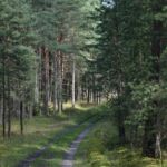 I jeszcze trochę tych pięknych dróg...