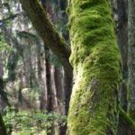 Powietrze musi być tutaj naprawdę czyste