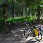 Odpoczynek pod Bartusiem