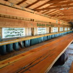 Najdłuższe deski świata