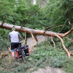 Na następną wyprawę zabieramy siekierkę...