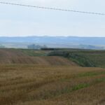 Takie piękne widoczki...