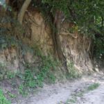 Dziś ominęliśmy Kaweczynek i jego sławetne wąwozy...