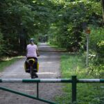 "Lesie, cudowny mój lesie...