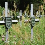 Wymowne, symboliczne krzyże...