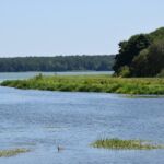 Było Hollywood, jest i tutejsza Kalifornia :)