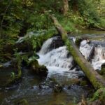 Malowniczy przełom rzeki Sopot