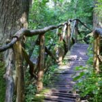 Urocze, kręte drogi...