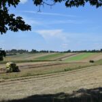 Żniwa pełną parą!