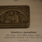 Coś dla fanów Pana Tadeusza