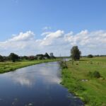 Narew