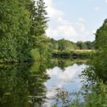 Spokojna toń