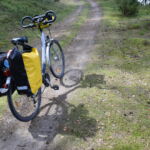 Rower Sylwii
