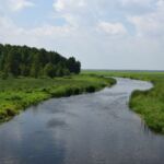 Biebrza